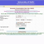 DU Result 2024 Out: दिल्ली यूनिवर्सिटी यूजी और पीजी रिजल्ट घोषित