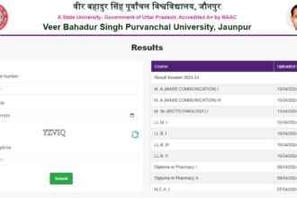 VBSPU Result 2024 Out: वीर बहादुर सिंह पूर्वांचल यूनिवर्सिटी का रिजल्ट घोषित, जल्दी से चेक करे नतीजे